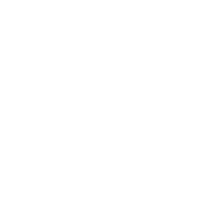 Организаторам